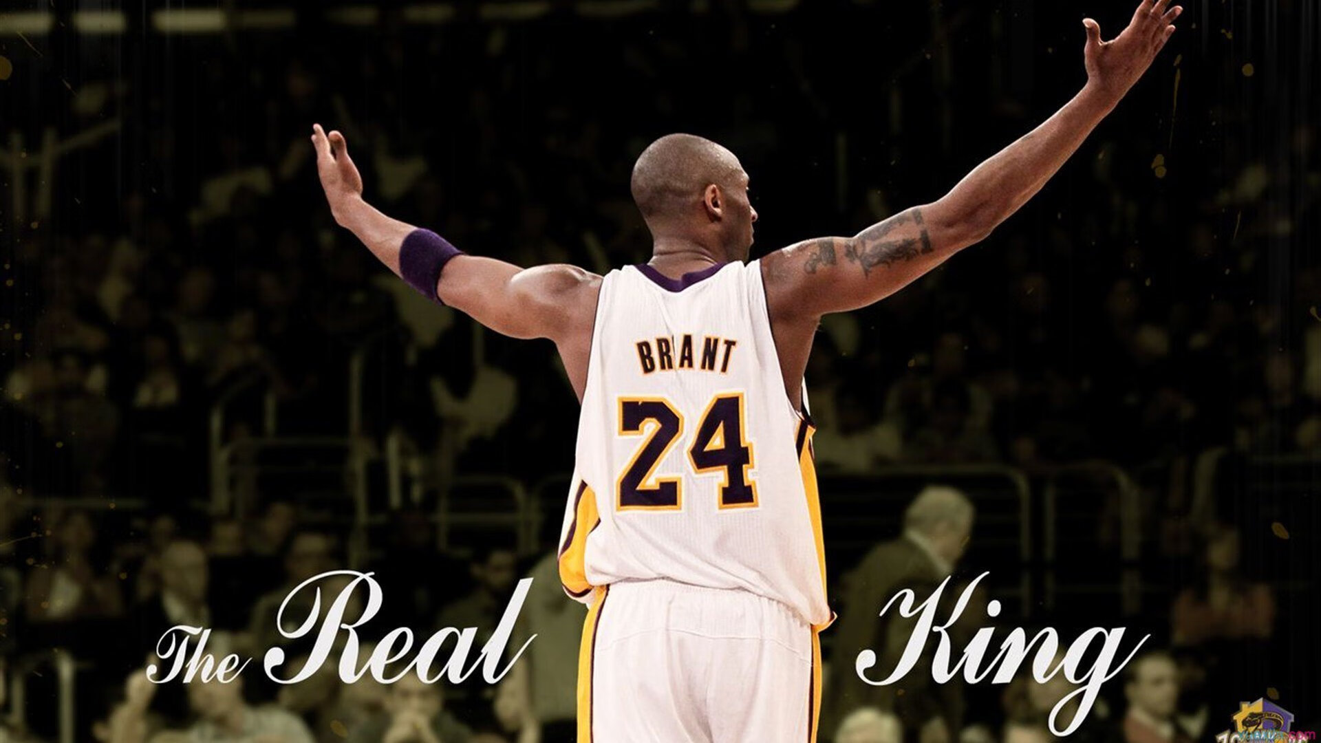 未来联盟：数据分析如何定义战术的“新黄金”？